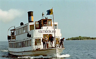 Der-Dampfer-Saltkrokan